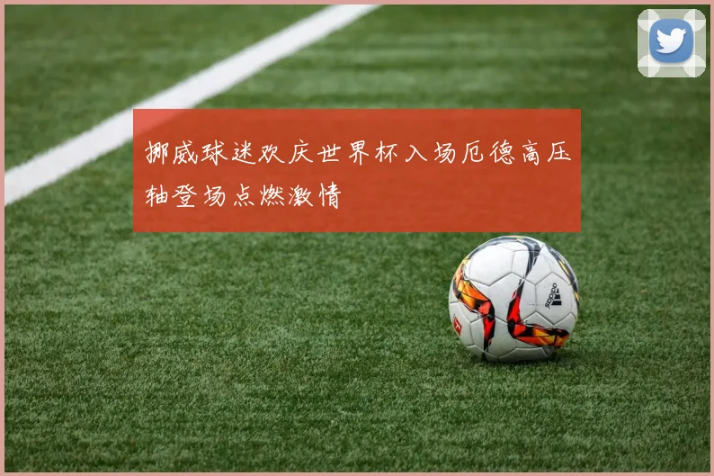 挪威球迷欢庆世界杯入场厄德高压轴登场点燃激情